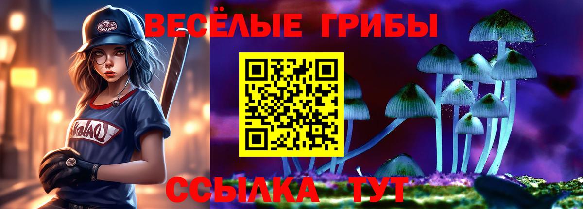 Галлюциногенные грибы Magic Shrooms  Вход с VPN  Черняховск 